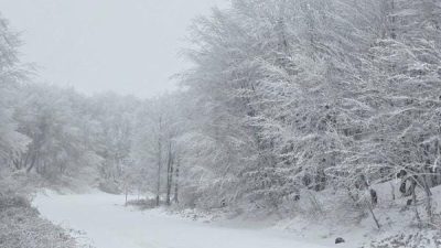 Balıkesir’in Bandırma ilçesine bağlı olan Karadağ’ın Erikli ve Çakıl Köyü’nün