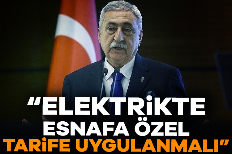 Türkiye Esnaf ve Sanatkarları Konfederasyonu (TESK) Genel Başkanı Bendevi Palandöken,