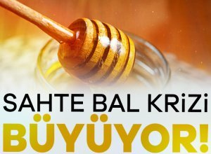 115 bin tonluk bal üretimi ile Çin'den sonra dünyanın ikinci