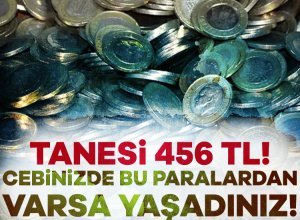 Hatalı basım olarak standart paralardan ayrılan bazı 2014 yılına ait