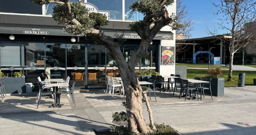 Yücel Yılmaz’ın 590 Milyonluk İsraf Ağaçları AKP’li Yücel Yılmaz idaresindeki Balıkesir Büyükşehir Belediyesi'nin, Mart 2024 seçimlerine