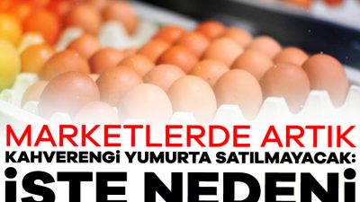 Alman süpermarketlerde satılan yumurtaların yaklaşık yüzde 30'u kahverengi ancak yapılan