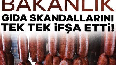 Tarım ve Orman Bakanlığı taklit veya tağşiş yapılan gıdalar listesini