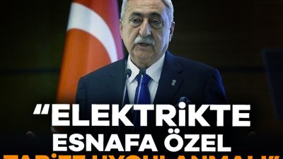 Türkiye Esnaf ve Sanatkarları Konfederasyonu (TESK) Genel Başkanı Bendevi Palandöken,