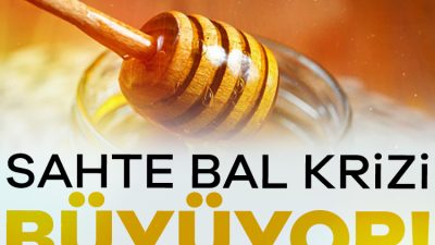 115 bin tonluk bal üretimi ile Çin'den sonra dünyanın ikinci