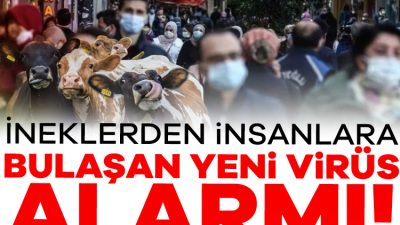 ABD'nin Nevada eyaletindeki bir süt sığırı sürüsünde, insanlara bulaşma riski