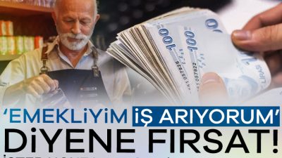 Emekliye iş fırsatı sunan bir sanal uygulama hayata geçirildi. Türkiye