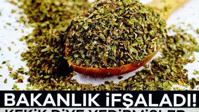 Tarım ve Orman Bakanlığı tarafından yapılan denetimlerde sağlığa zararlı ürünler