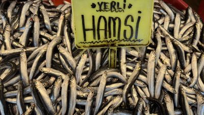 Marmara Bölgesi’ni etkisi altına alan yoğun kar yağışının ardından Balıkesir