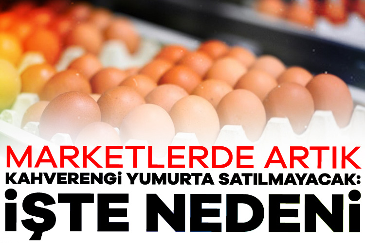 Marketlerde artık kahverengi yumurta satılmayacak: İşte nedeni Alman süpermarketlerde satılan yumurtaların yaklaşık yüzde 30'u kahverengi ancak yapılan