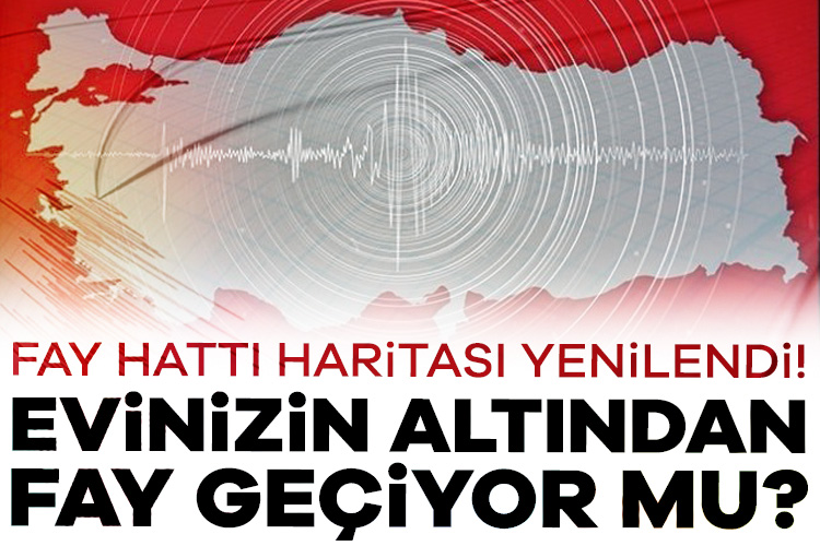 Ege Denizi'nde yaşanan art arda depremler, Türkiye'nin diri fay hatlarını