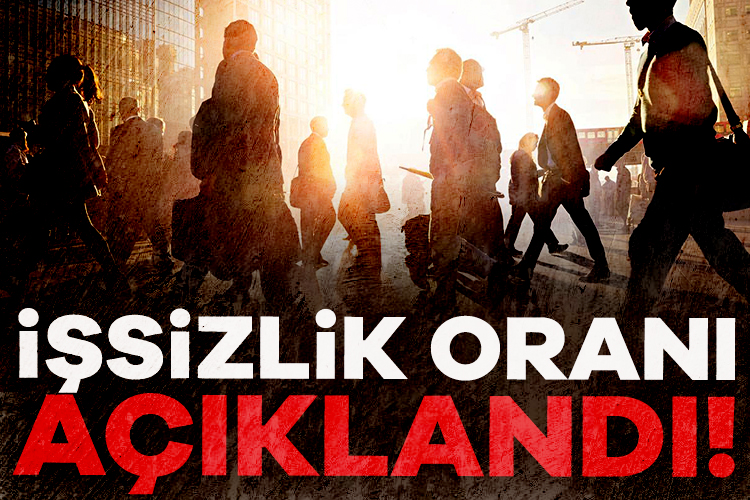 Türkiye'de işsizlik oranı aralık ayında 0,1 puan azalarak yüzde 8,5