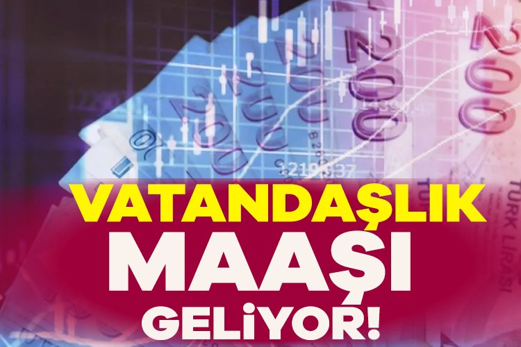 Vatandaşlık maaşı geliyor! Vatandaşlara yeni müjde geldi. Vatandaşlık Maaşı uygulaması hayat geçiyor. Yeni