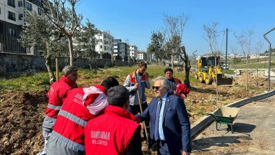 Balıkesir'in Bandırma ilçesinde, yeşil alanların artırılması ve mevcut parkların iyileştirilmesi