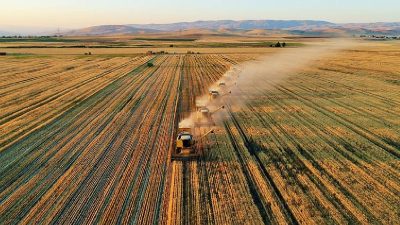 TÜİK verilerine göre, Tarım ÜFE şubat ayında bir önceki yıla