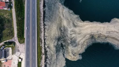 Marmara Denizi'nde 2021 yılında yaşanan müsilaj felaketi henüz unutulmamışken, uzmanlar,