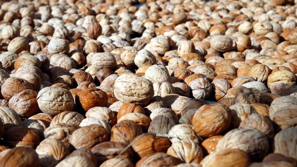 Çin’den ithal edilen cevizlerin, menşei belirtilmeden 'Maraş cevizi' adıyla satılması