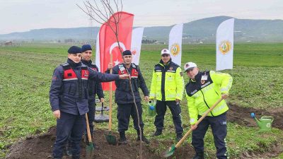 Balıkesir’de Orman Bölge Müdürlüğü, yol kenarı ağaçlandırma çalışmalarına devam ederken,