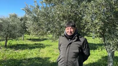 Türkiye genelinde etkili olan soğuk hava dalgası, zeytin üreticileri için