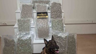 Balıkesir’de polis ekipleri tarafından yapılan uyuşturucu operasyonunda 12 kilogram esrar