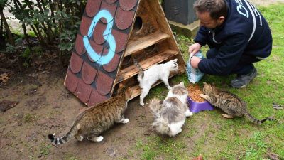 Balıkesir’de sokaktaki can dostların yaşam şartlarının iyileştirilmesine yönelik adım atıldı.