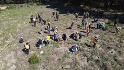 Balıkesir’in Edremit ilçesinde 21 Mart Dünya Ormancılık Günü etkinlikleri kapsamında