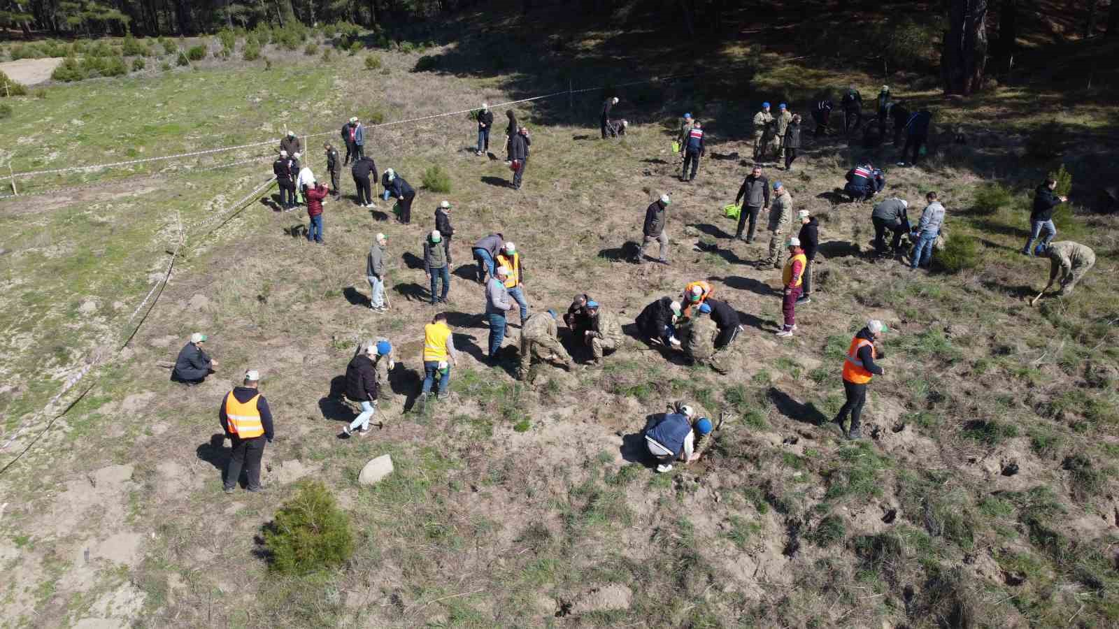 Balıkesir’in Edremit ilçesinde 21 Mart Dünya Ormancılık Günü etkinlikleri kapsamında