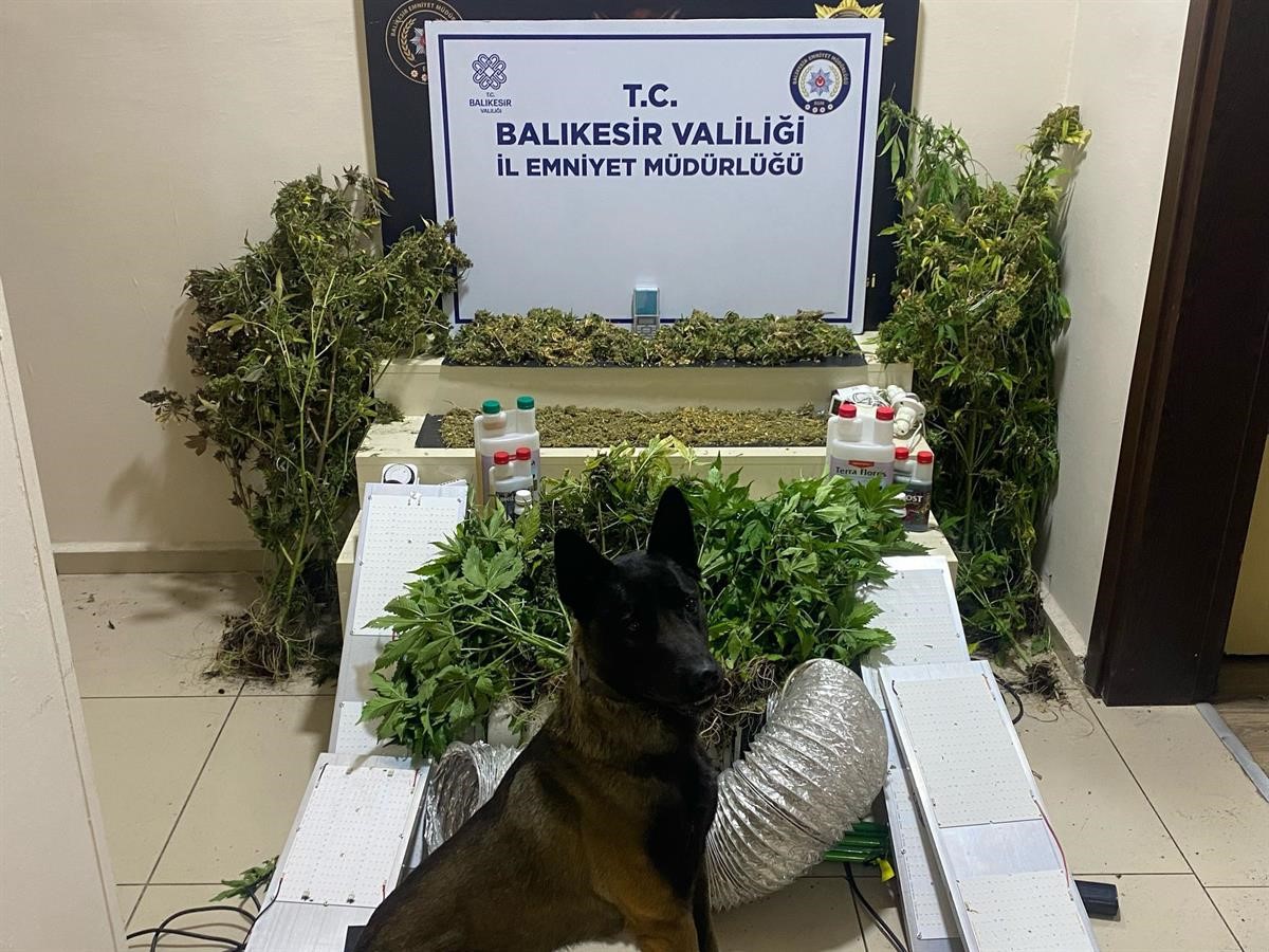 Bandırma ilçesinde uyuşturucu madde ve çeşitli ekipmanlar ele geçirildi, 1
