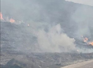 Balıkesir’in Marmara ilçesine bağlı Avşa Adası’nda çıkan orman yangını, itfaiye