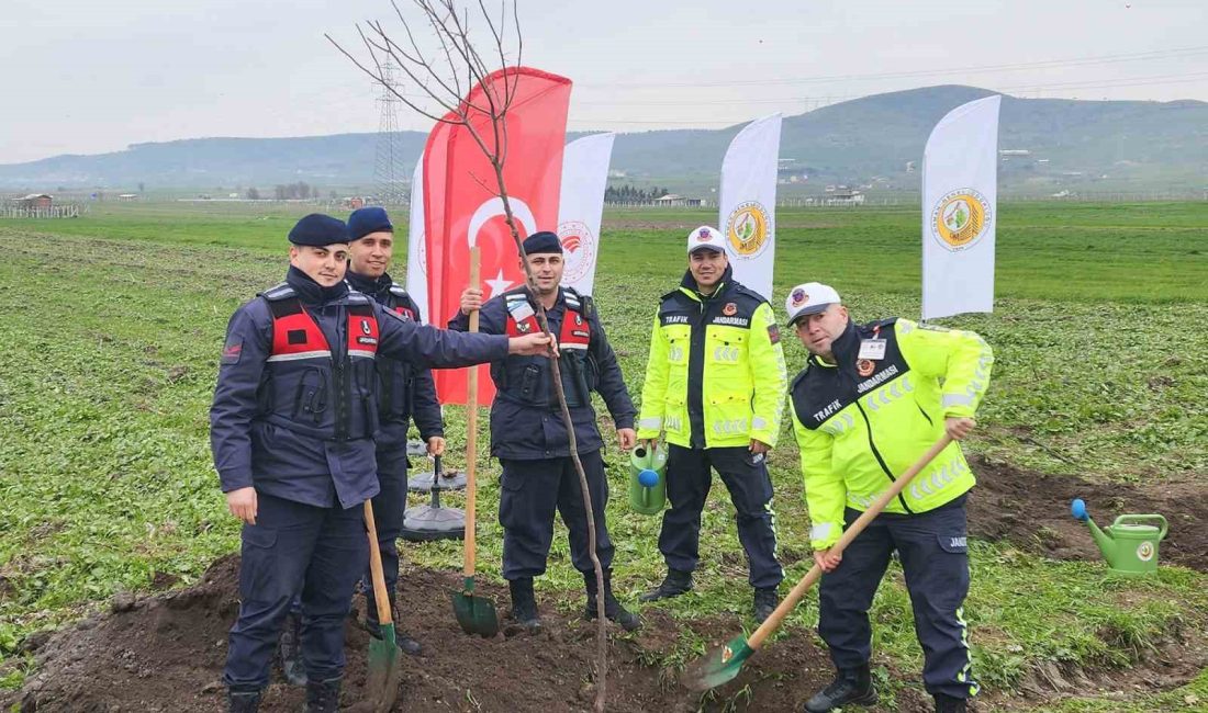 Balıkesir’de ağaçlandırma çalışmaları devam ediyor Balıkesir’de Orman Bölge Müdürlüğü, yol kenarı ağaçlandırma çalışmalarına devam ederken,