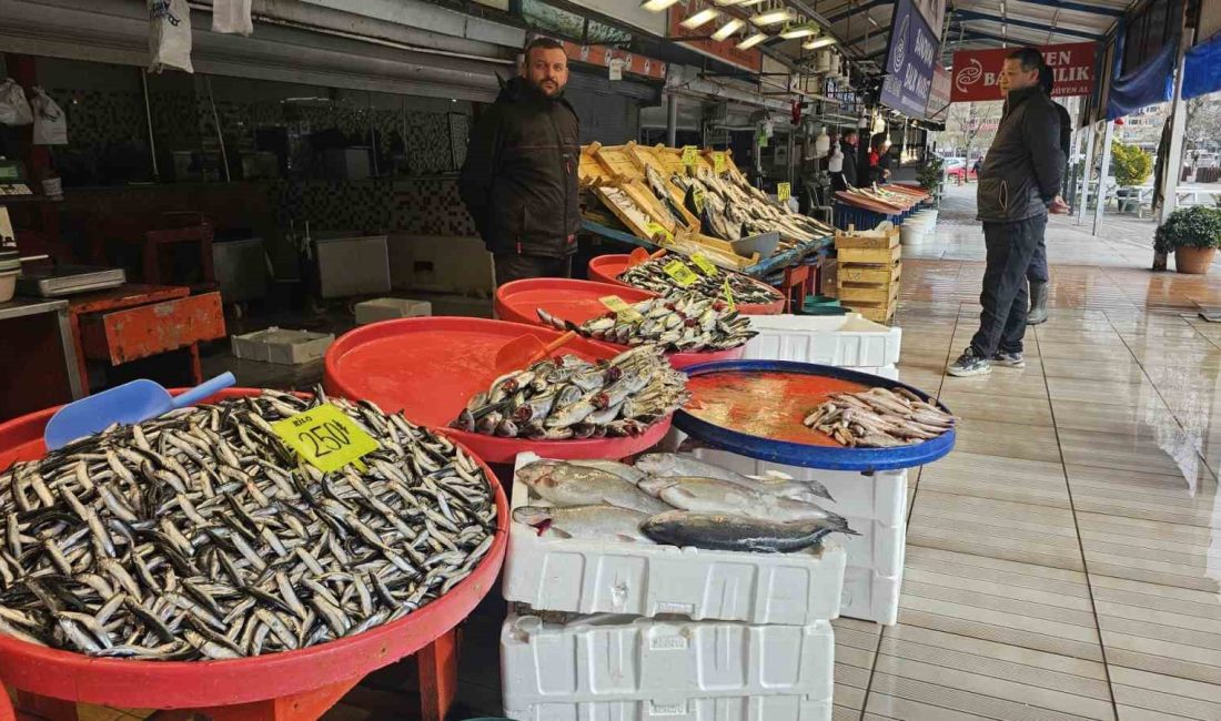 Balıkesir’in Bandırma ilçesinde, Bandırma Balık Hali’nde Ramazan ayıyla birlikte balık