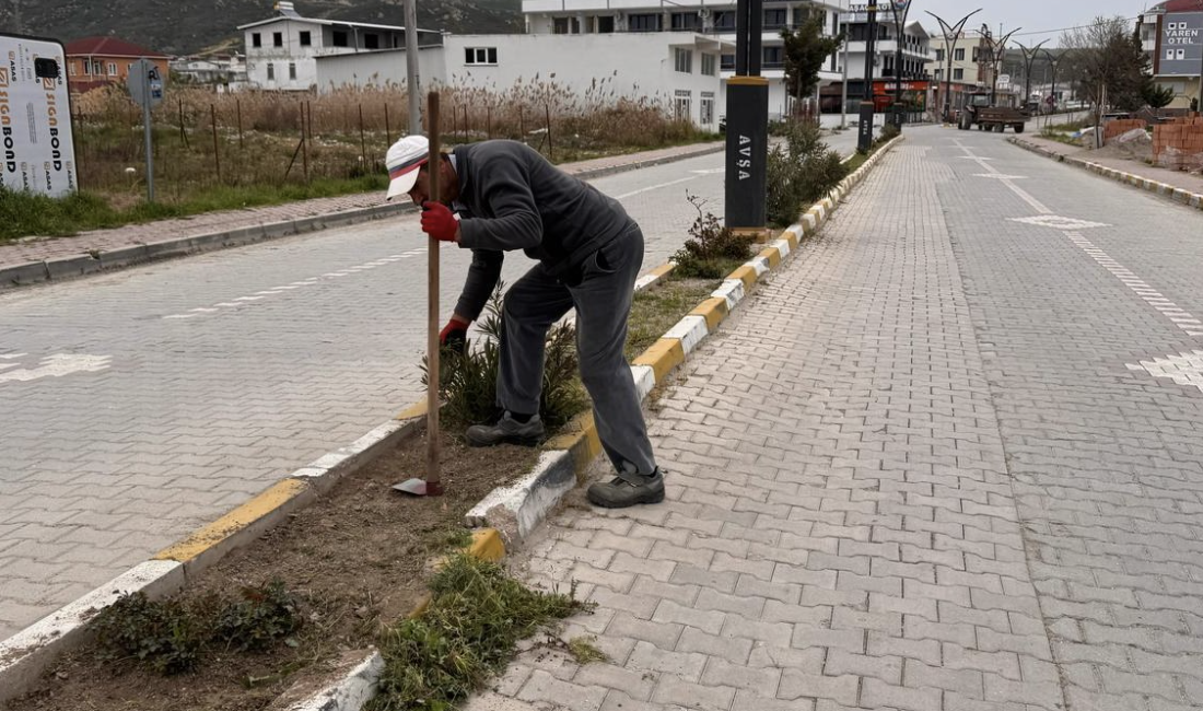 Marmara Adalar Belediyesi çevre düzenleme çalışmalarına hız verdi Balıkesir’in Marmara ilçesinde, Marmara Adalar Belediyesi tarafından doğal güzelliklerin korunması