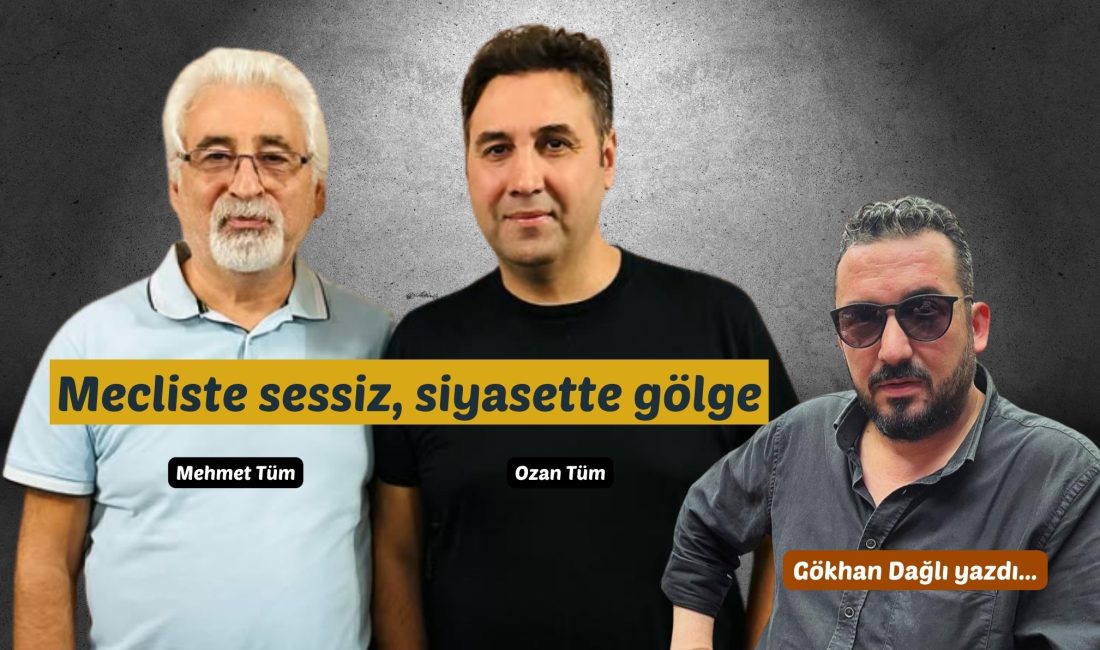 Mecliste sessiz, siyasette gölge Siyaset, cesaret ister. Fikir üretmeyi, konuşmayı, sorunları dile getirip çözüm