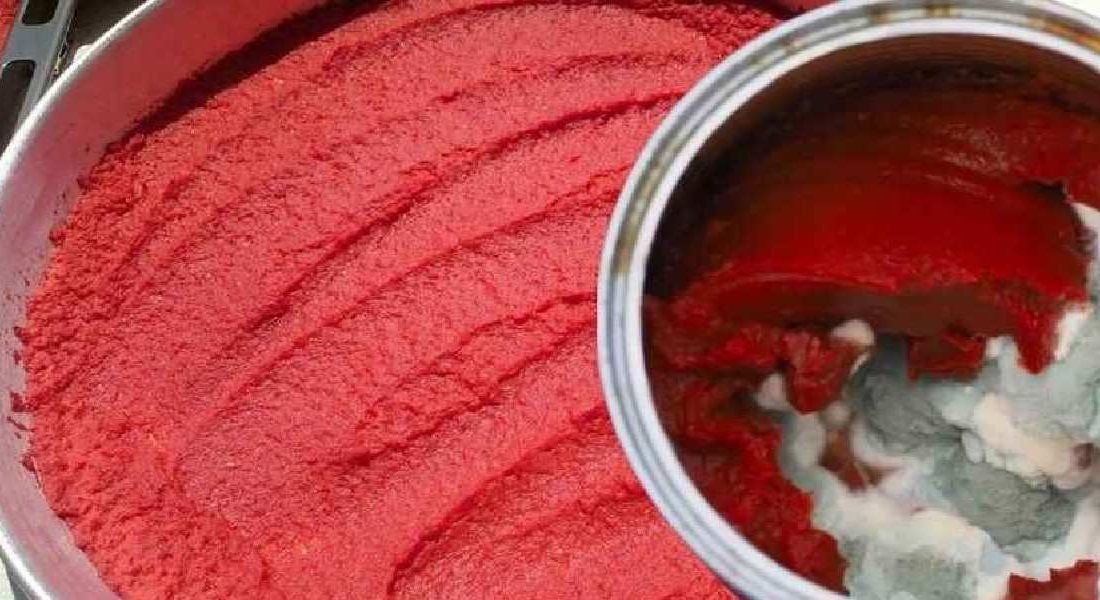 Türk mutfağında yoğun bir şekilde kullanılan salçalar genellikle küflendiği için