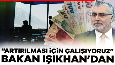 Çalışma ve Sosyal Güvenlik Bakanı Vedat Işıkhan, sürekli olarak doğum