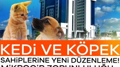 Tarım ve Orman Bakanlığı tarafından yapılan düzenlemeyle çiplendirme süresi uzatıldı.