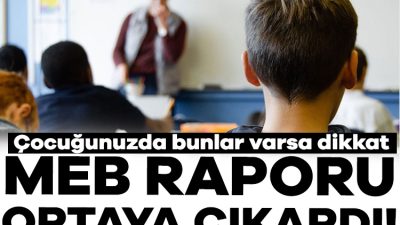 Milli Eğitim Bakanlığınca ilkokul 4. sınıf öğrencileri arasında gerçekleştirilen araştırmada,