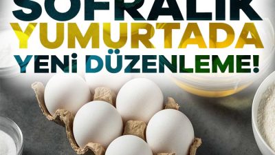 Sofralık yumurta ihracatına uygulanan fon kesintisi kilogramda 0,5 dolardan 1,5
