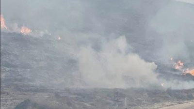 Balıkesir’in Marmara ilçesine bağlı Avşa Adası’nda çıkan orman yangını, itfaiye