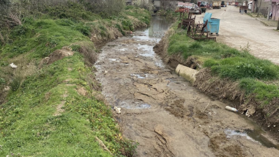 Balıkesir’in Bandırma ilçesine bağlı Doğruca (Debleke) Mahallesi’nde dereye karışan hayvansal