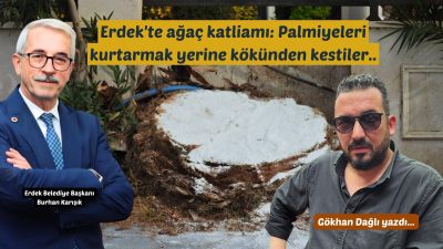 Balıkesir’in Erdek ilçesinde kırmızı palmiye böceği tehdidi nedeniyle yaklaşık 25