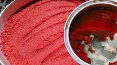 Türk mutfağında yoğun bir şekilde kullanılan salçalar genellikle küflendiği için