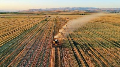 Tarım sektörü, kırsal kalkınmaya sağlanacak 18,5 milyar liralık destek ve