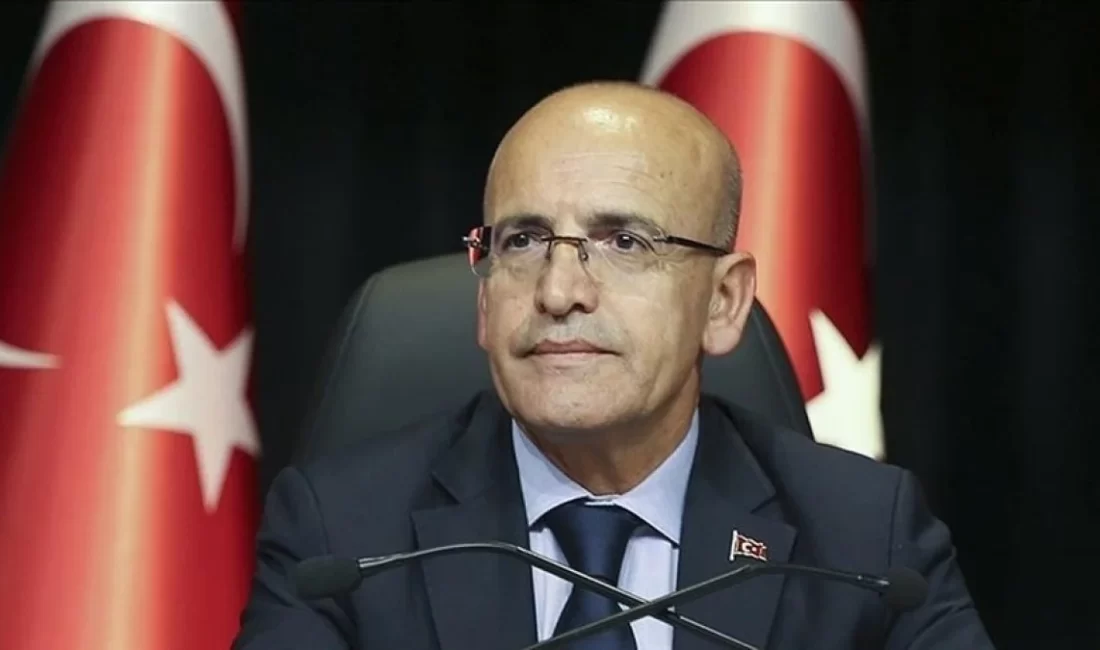 Hazine ve Maliye Bakanı Şimşek, "Elimizde yeterli araç var. Programın