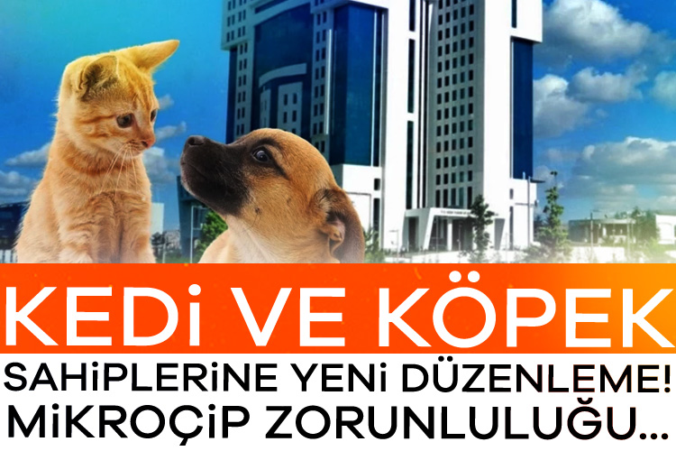 Tarım ve Orman Bakanlığı tarafından yapılan düzenlemeyle çiplendirme süresi uzatıldı.