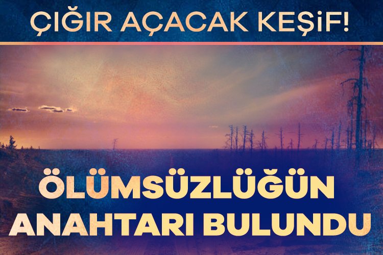 Çığır açacak keşif! Ölümsüzlüğün anahtarı bulundu Bilim insanları, hücresel düzeyde yaşlanmayı tersine çevirebilecek anahtar proteini keşfetti.