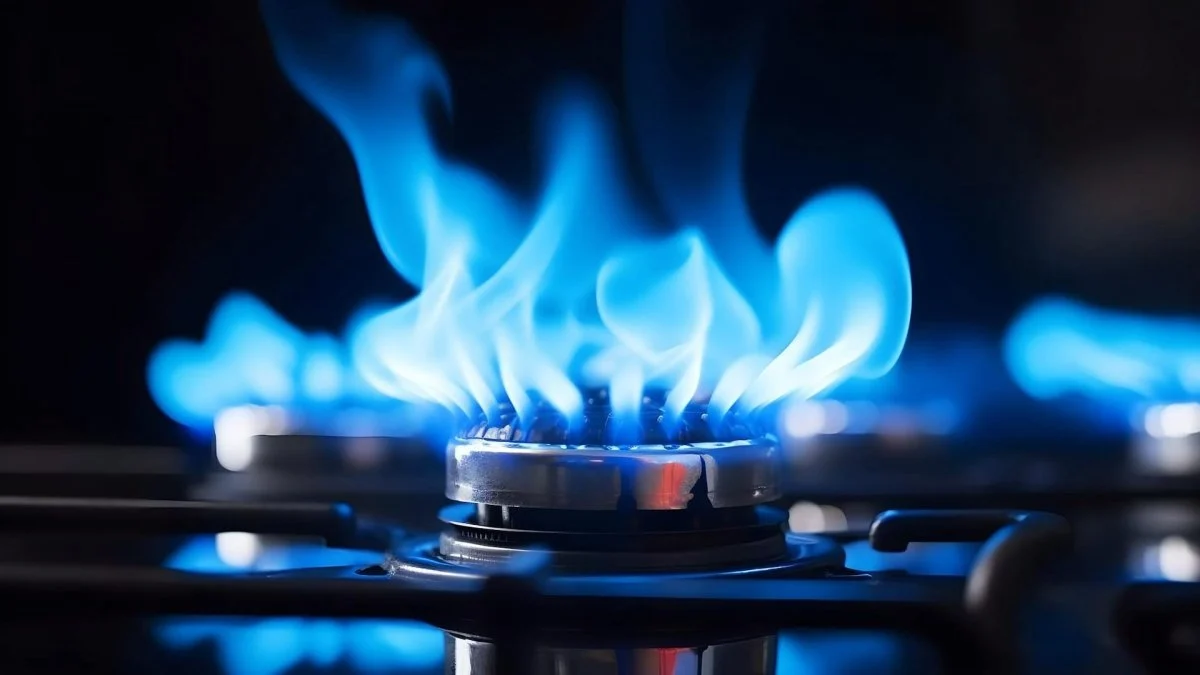 Enerji ve Tabii Kaynaklar Bakanlığı, doğalgazda kademeli tarifeye geçiş için