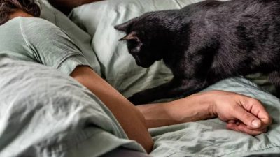 Kediler, gece yarısı aniden uyandıran, meraklı bakışlarıyla sahiplerini rahatsız eden