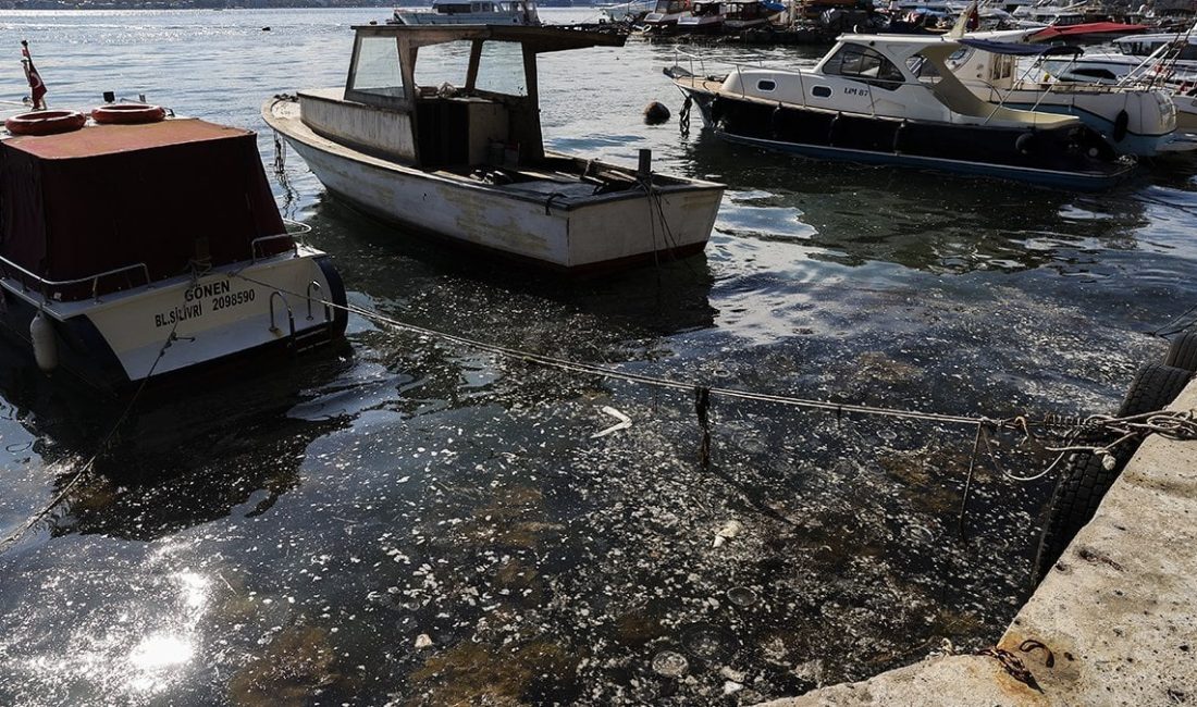 Beykoz sahilinde yeniden görülen müsilaj, hem balıkçılığı sekteye uğrattı hem