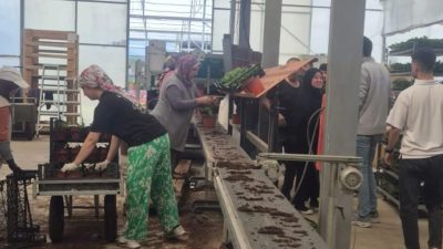 Balıkesir Üniversitesi Havran Meslek Yüksekokulu öğrencileri, teorik bilgilerini pratiğe dönüştürmek